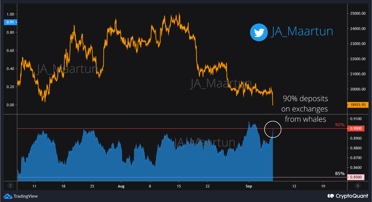 Bitcoin Exchange Whale Ratio